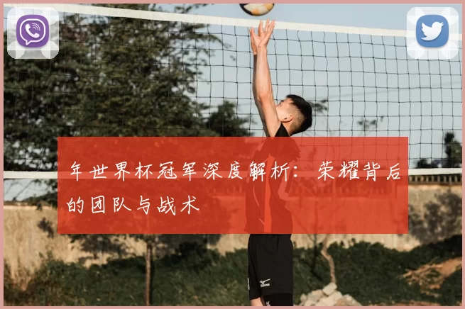 年世界杯冠军深度解析：荣耀背后的团队与战术