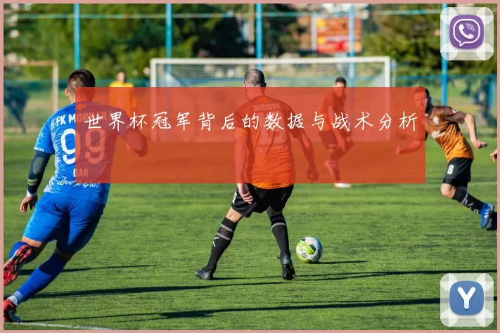 世界杯冠军背后的数据与战术分析