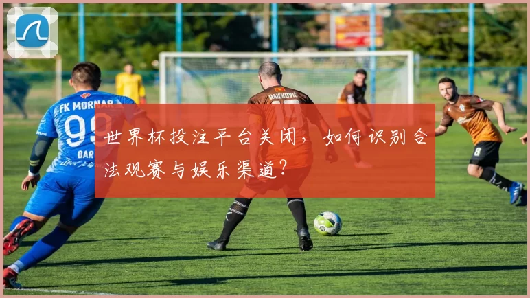 世界杯投注平台关闭,如何识别合法观赛与娱乐渠道?