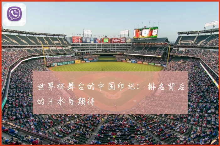 世界杯舞台的中国印记:排名背后的汗水与期待