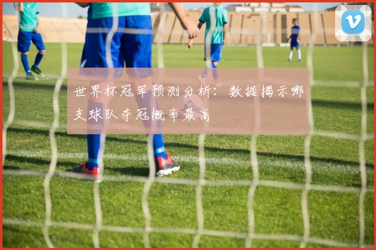世界杯冠军预测分析:数据揭示哪支球队夺冠概率最高