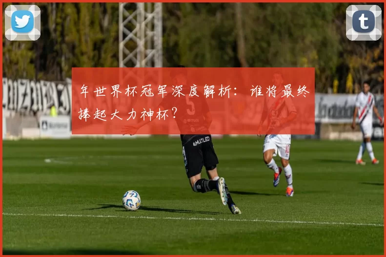 年世界杯冠军深度解析：谁将最终捧起大力神杯？