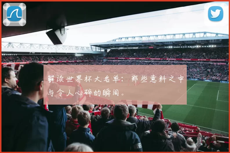 解读世界杯大名单：那些意料之中与令人心碎的瞬间。