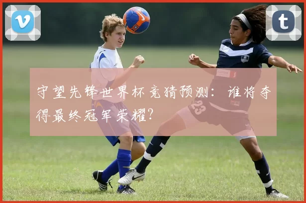 守望先锋世界杯竞猜预测：谁将夺得最终冠军荣耀？