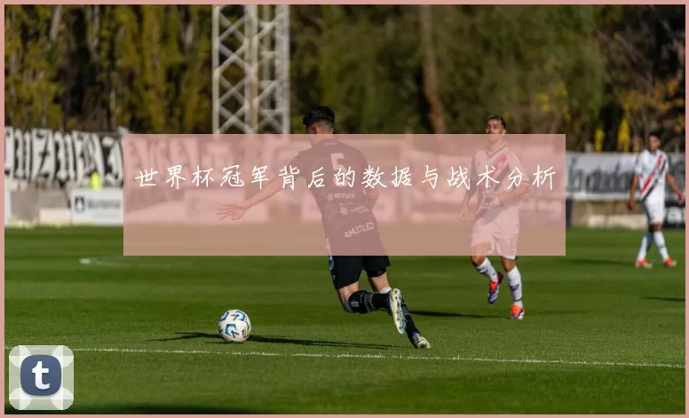 世界杯冠军背后的数据与战术分析