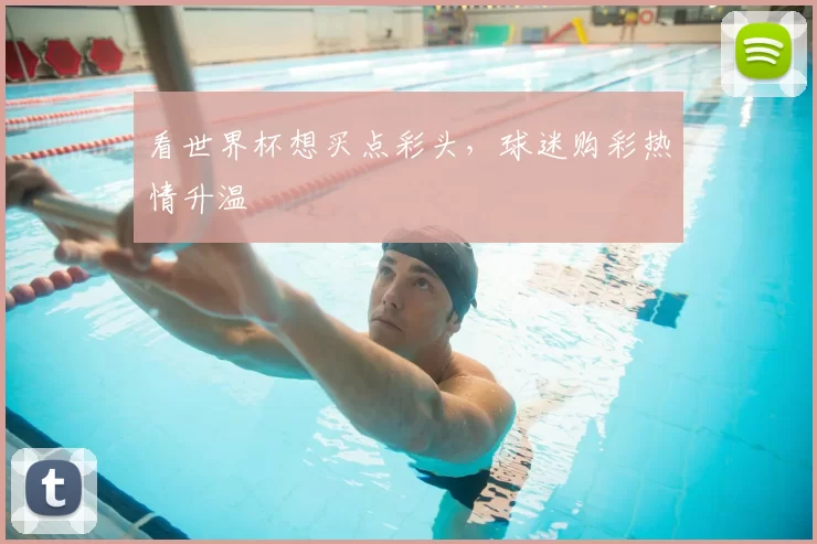 看世界杯想买点彩头，球迷购彩热情升温