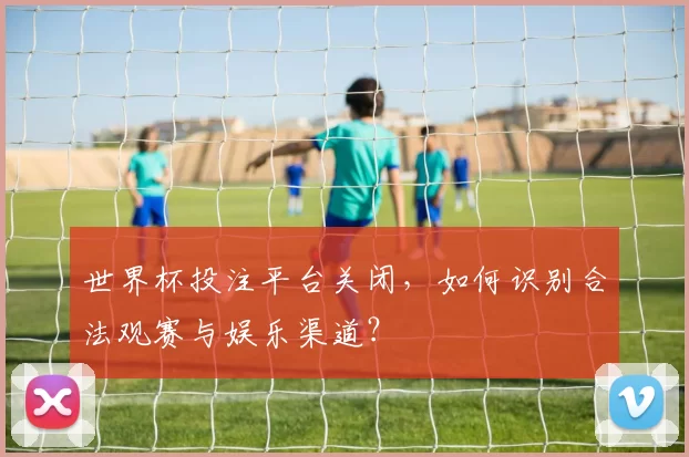 世界杯投注平台关闭,如何识别合法观赛与娱乐渠道?