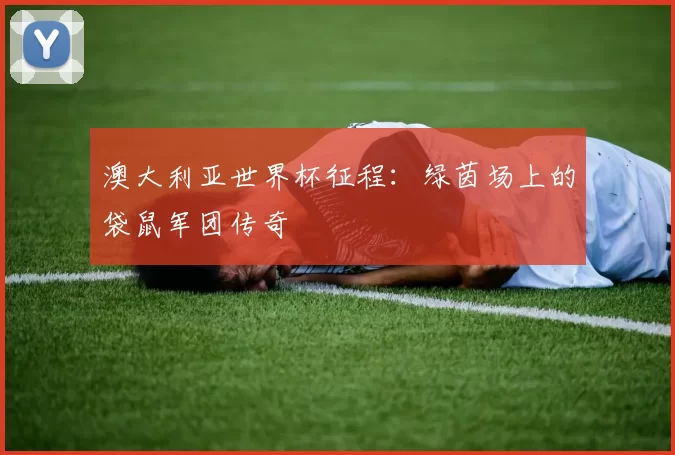 澳大利亚世界杯征程：绿茵场上的袋鼠军团传奇