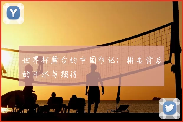 世界杯舞台的中国印记:排名背后的汗水与期待