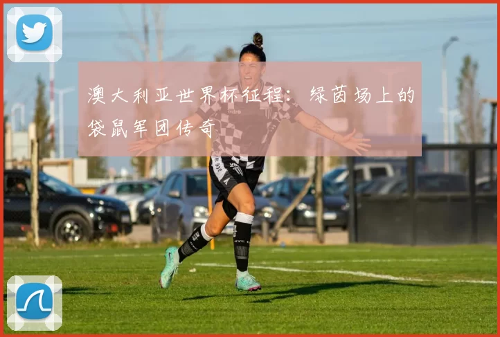 澳大利亚世界杯征程:绿茵场上的袋鼠军团传奇