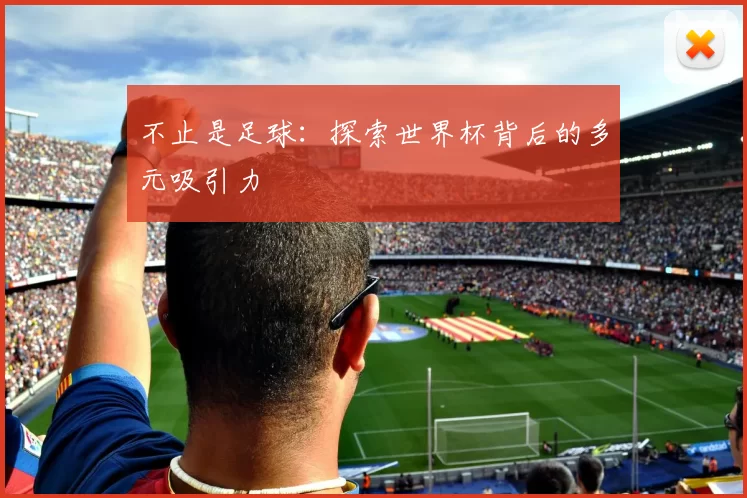 不止是足球：探索世界杯背后的多元吸引力