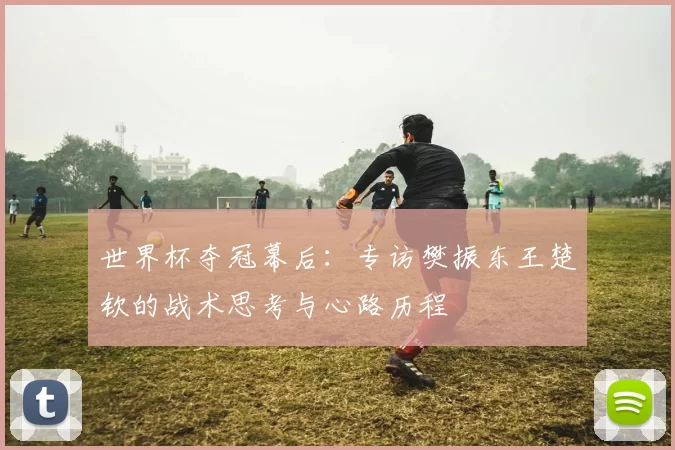 世界杯夺冠幕后:专访樊振东王楚钦的战术思考与心路历程