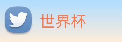 世界杯 logo